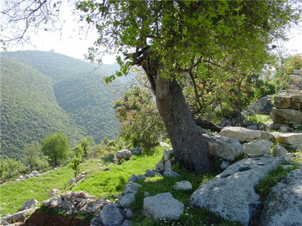 Mount Lebanon